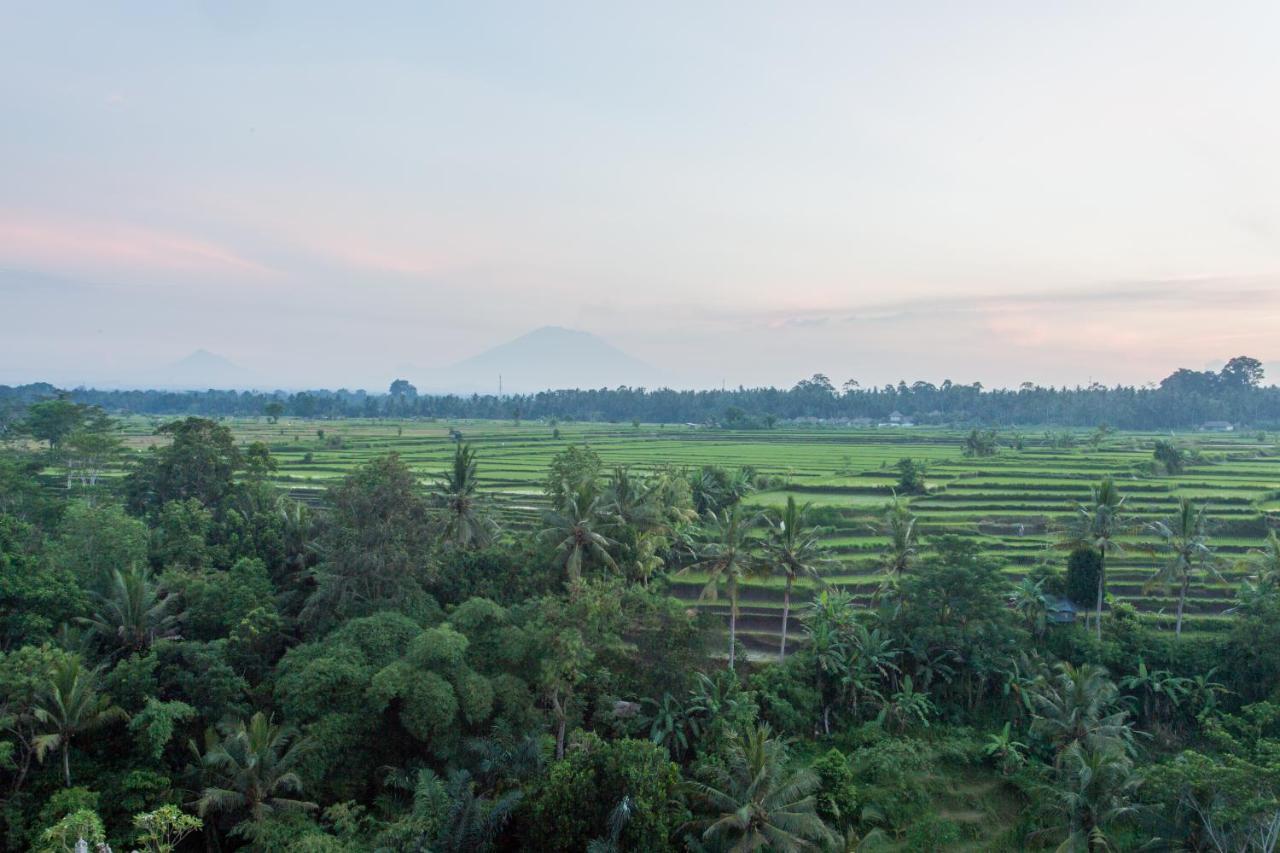 Seres Springs Resort & Spa, Singakerta Ubud  Luaran gambar